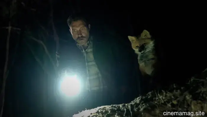 Tráiler de la comedia fantástica australiana The Fox, protagonizada por Jai Courtney, Emily Browning y Olivia Colman.