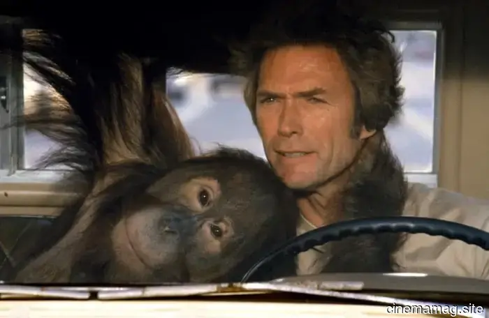 Underrated Films Starring Clint Eastwood: Tightrope