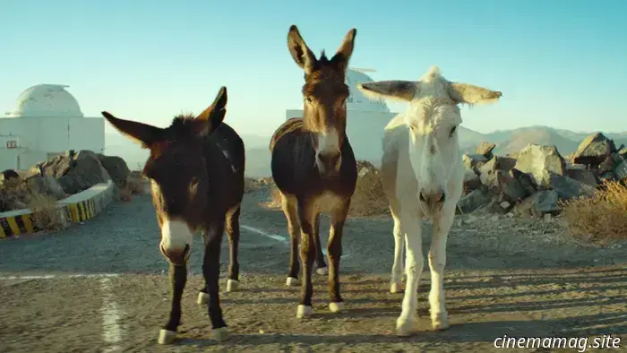 Atom Egoyan e Alison McAlpine discutono di Perfectly a Strangeness, in lizza per l'Oscar