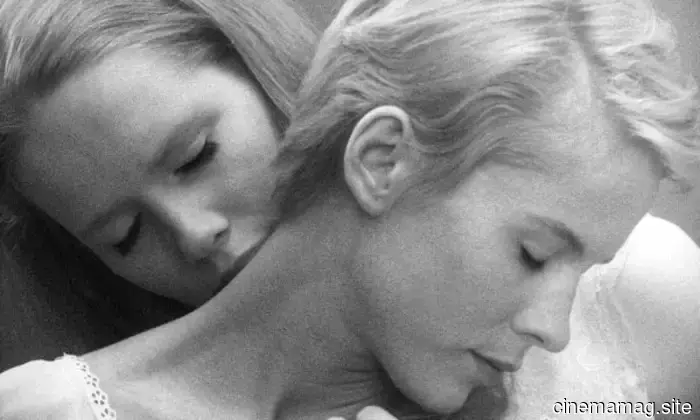 10 Películas Esenciales de 1966