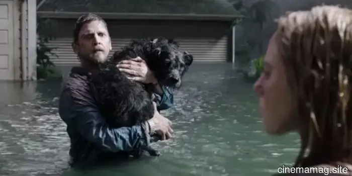 10 Perros de Película que Superaron Odds Imposibles