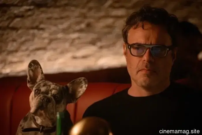 In the trailer for Hulu's "wrong-com," Nicola Walker and Jemaine Clement play the roles of Alice and Steve.
