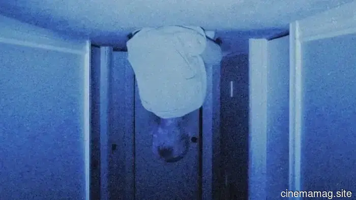 The 13 Most Bizarre Films We've Ever Watched