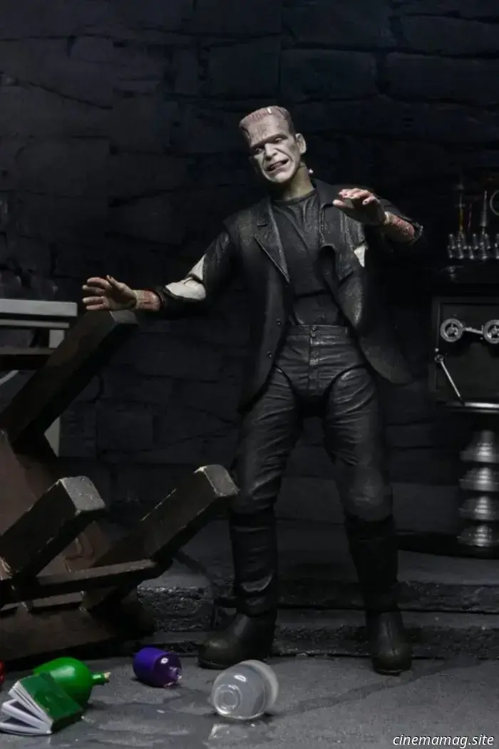 NECA's The Monster and His Mate 2-pack commemorates the 90th anniversary of The Bride of Frankenstein.