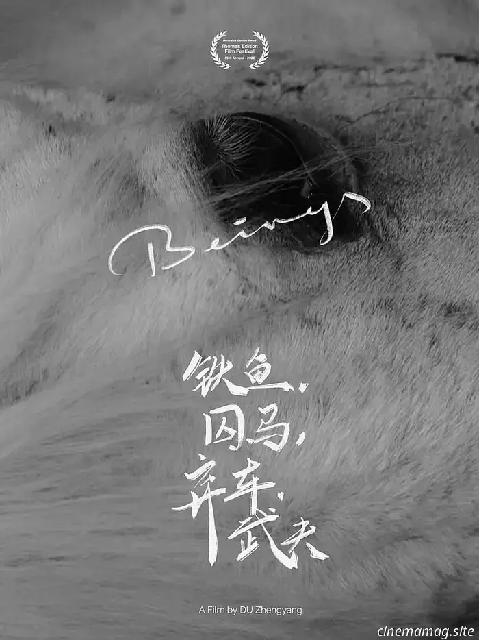 Entre la quietud y la resistencia: el documental experimental de Zhengyang Du "Beings" - MovieMaker