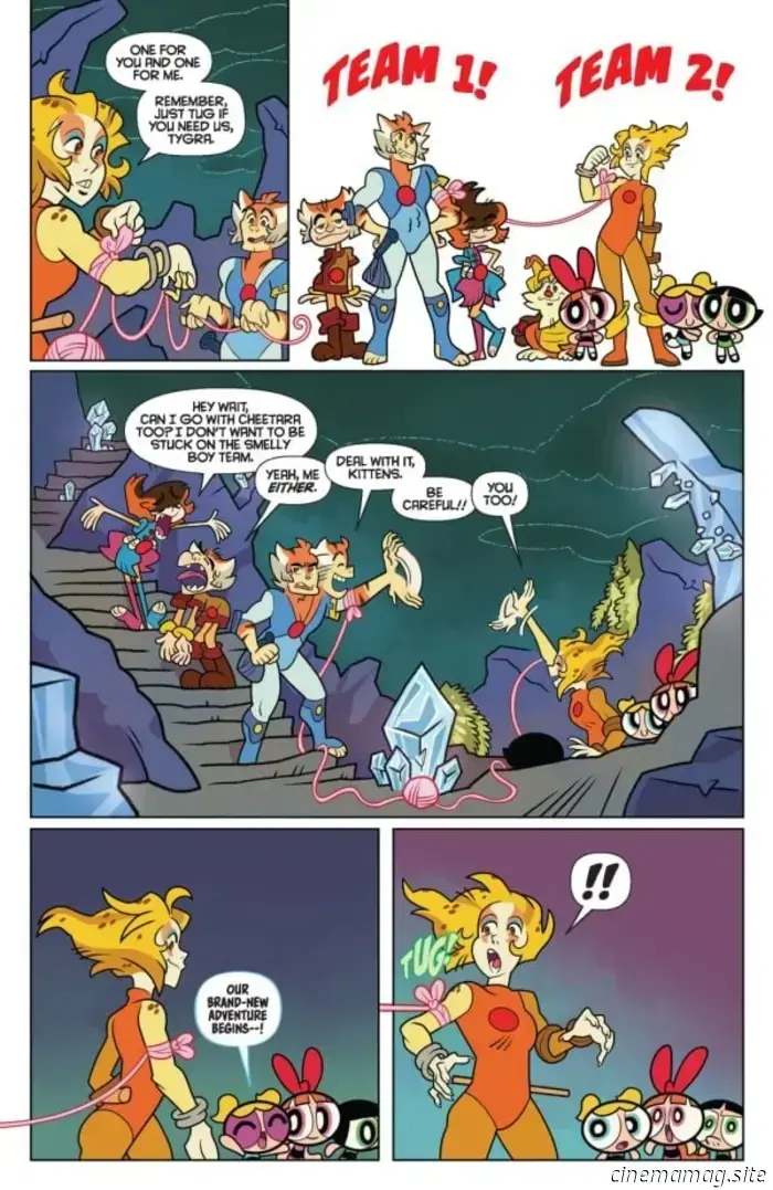 Preview of ThunderCats/The Powerpuff Girls #3 - Comic Book