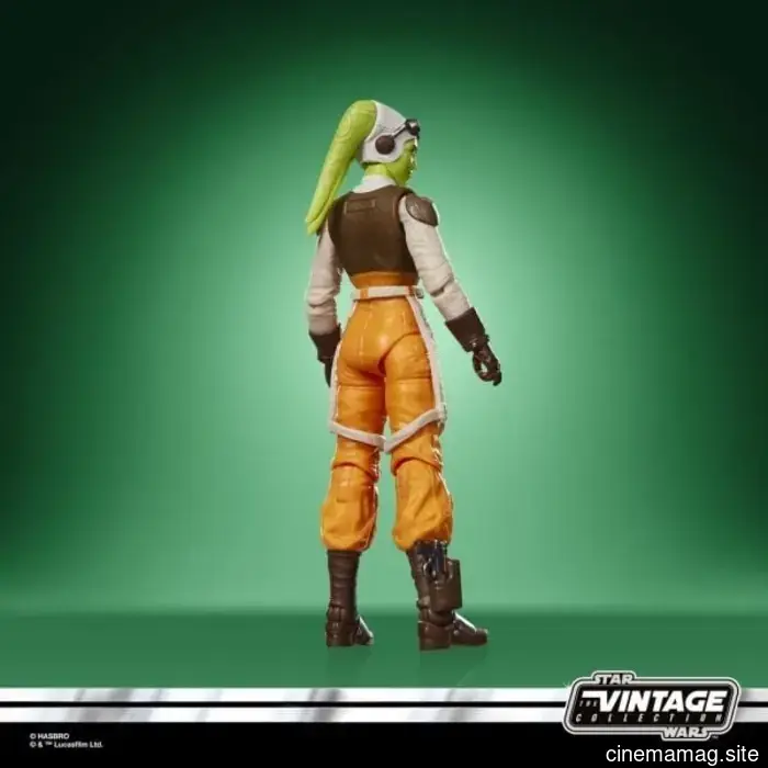 Hasbro has revealed new figures from Star Wars: The Black Series and Vintage Collection.