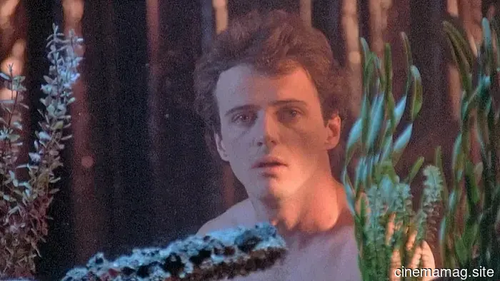 11 Adorable Brunette Friends in '80s Films