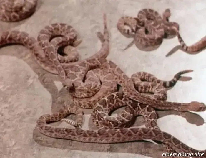 7 фильмов ужасов про змей, которые вы могли пропустить