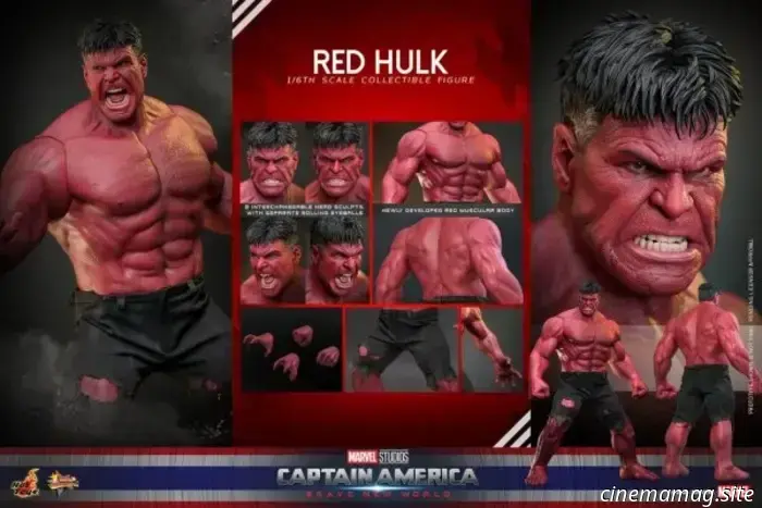 Hot Toys releases the sixth scale figure of Red Hulk from Captain America: Brave New World.