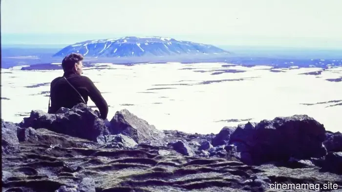 40 фильмов, которые стоит посмотреть этим летом