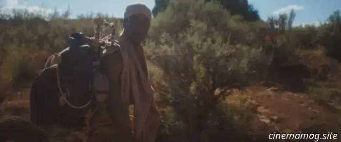 Trailer del thriller The Wilderness con Lamar Johnson e Hunter Doohan