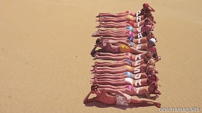 Our Top 12 Movies for Beach Parties