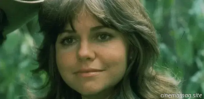 I 10 migliori film del 1977 classificati per incasso