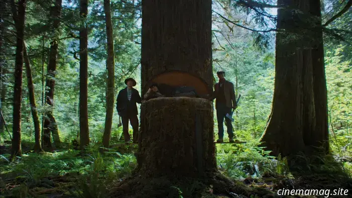 La scenografa di Train Dreams, Alexandra Schaller, su come trovare la bellezza nel paesaggio e far sembrare grandi i piccoli film