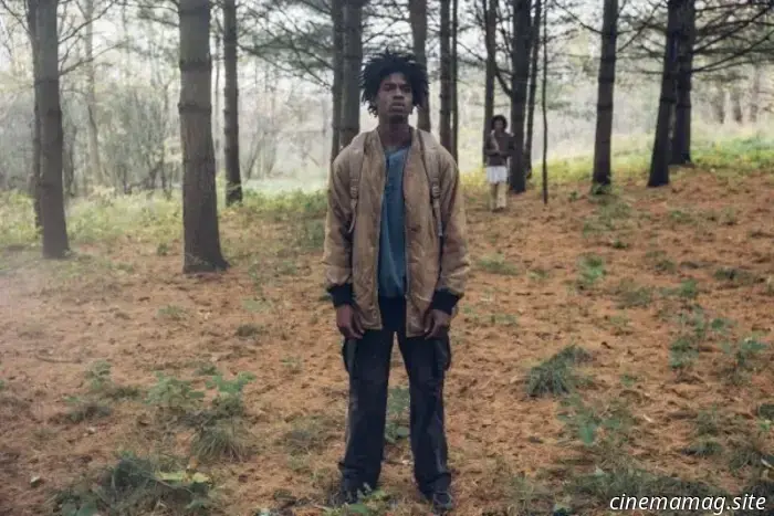 The dystopian thriller The Well has released a trailer, poster, and images.