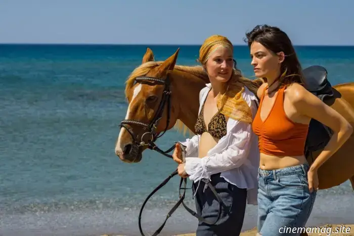 40 Film da vedere quest'estate
