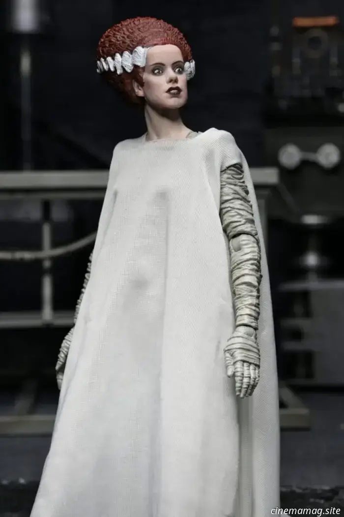 NECA's The Monster and His Mate 2-pack commemorates the 90th anniversary of The Bride of Frankenstein.
