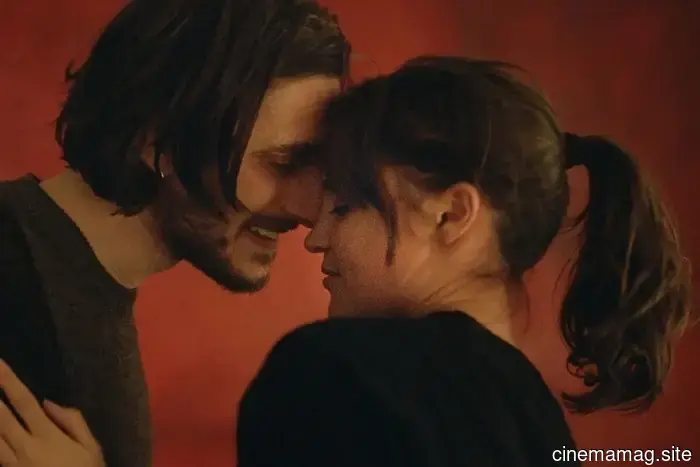 Our 20 Most-Expected Films Debuting at Venice, TIFF, and NYFF