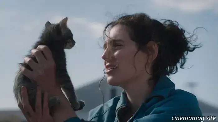 I 10 migliori film del 2025 di Devan Suber