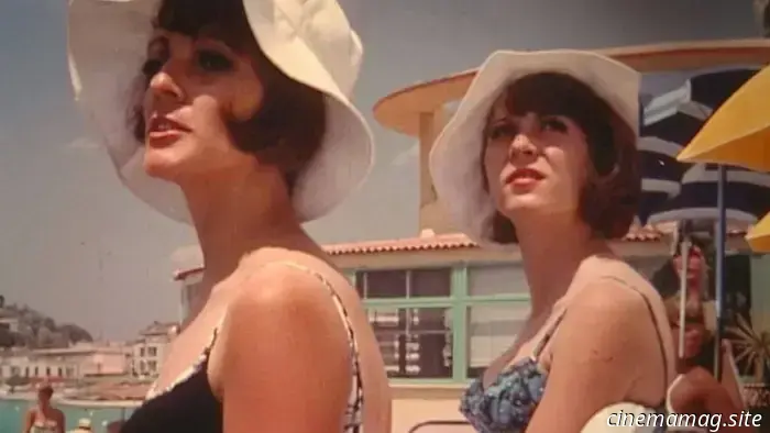 'Aunt Cindy and the Alchemist' Is a Mind-Bending Tale That Seems Almost Unreal.