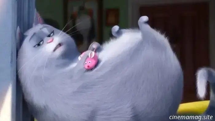 Los 12 Gatos Más Geniales de las Películas