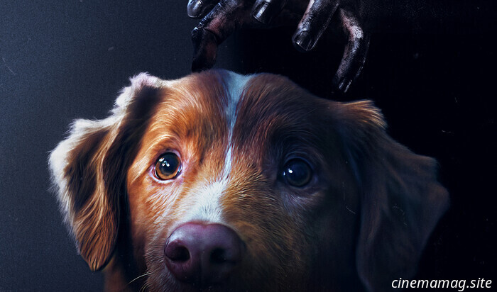 Recensione del film – Good Boy (2025)