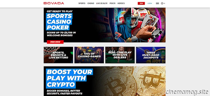 Лучшие сайты ставок на спорт во Флориде (2025) 🏆