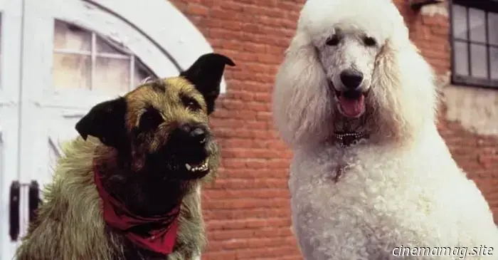 12 Highest-Grossing Films That Have a Zero Rating on Rotten Tomatoes