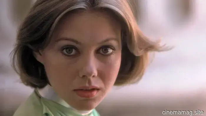 13 Stars from the 1970s Who Are Still Thriving Today