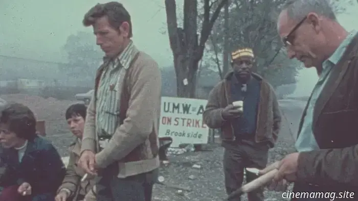 12 film avvincenti del 1976, un anno di ribellione