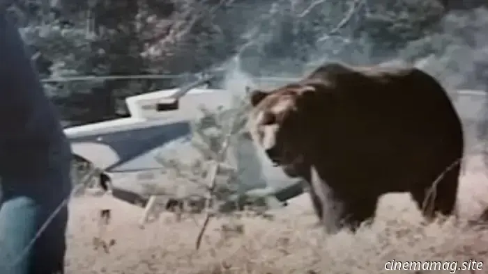 13 смертоносных фильмов о животных, в которых использовали настоящих живых животных