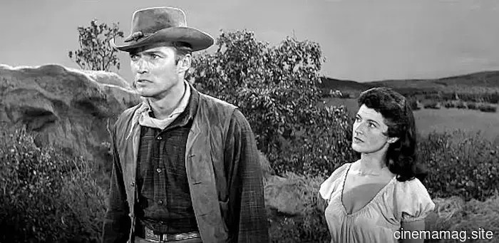 5 Stelle degli anni '50 che sono ancora in forma