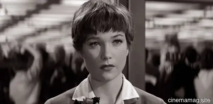 5 Stelle degli anni '50 che sono ancora in forma