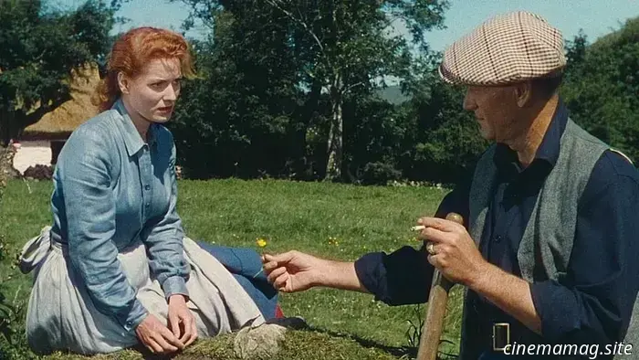 The 12 Greatest Movies Set in Ireland That We've Ever Watched