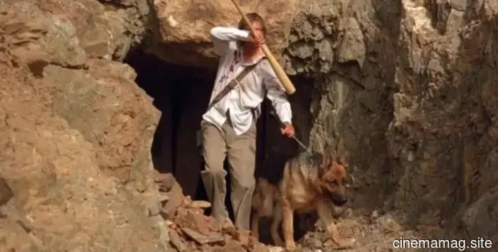 10 Perros de Película que Superaron Odds Imposibles