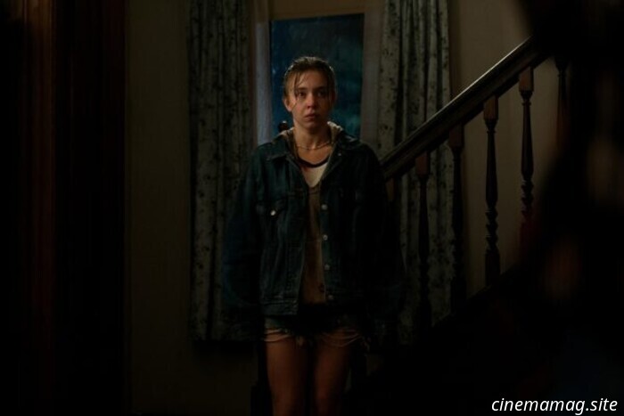 Echo Valley (2025) - Reseña de la película