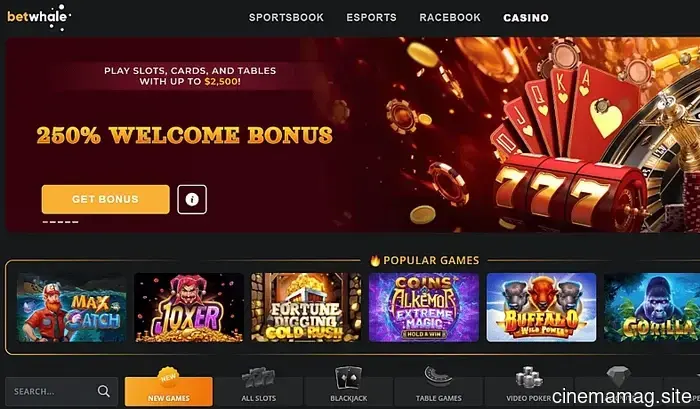 Top Crypto Casinos of 2026: Ranking and Evaluating 5 Leading Bitcoin Casinos - MovieMaker Magazine