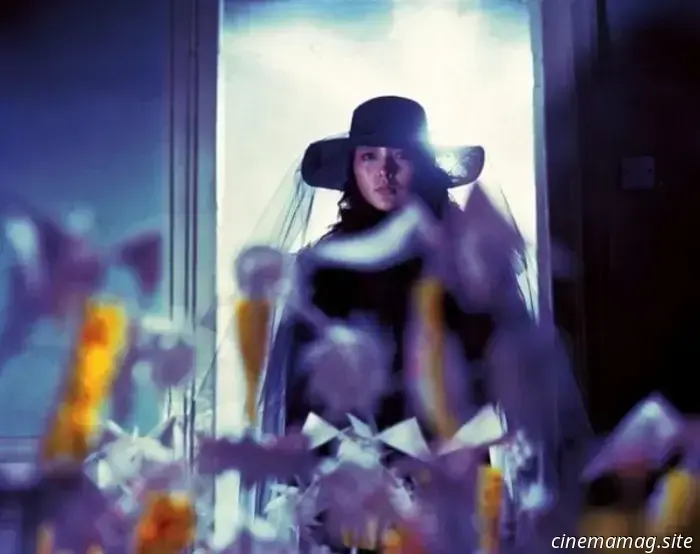 Recensione Blu-ray – Shawscope Vol. 4