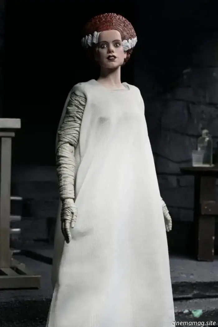 NECA's The Monster and His Mate 2-pack commemorates the 90th anniversary of The Bride of Frankenstein.
