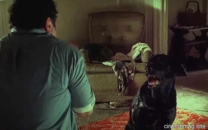 The Top 13 Serial Killer Films Ranked