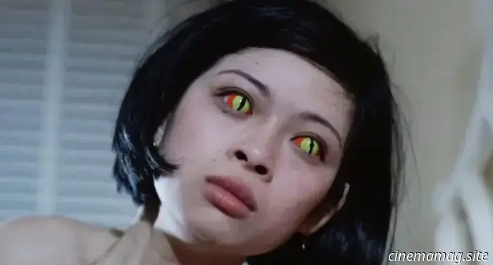 Recensione Blu-ray – Shawscope Vol. 4