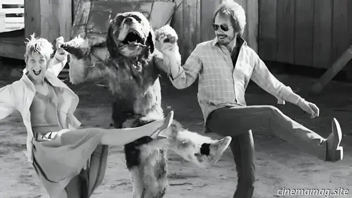 13 смертоносных фильмов о животных, в которых использовали настоящих живых животных