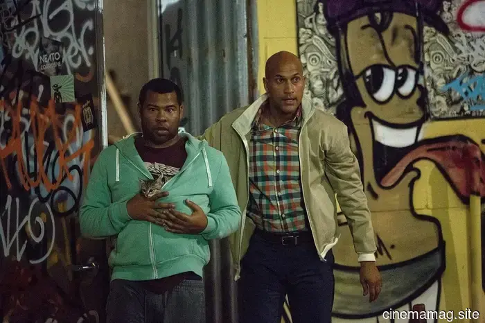 The 12 Most Absurd Movies We've Ever Watched