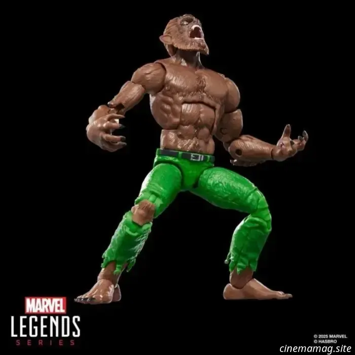 Hasbro svela nuove action figure della serie Marvel Legends al New York Comic Con.