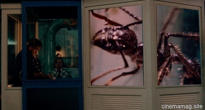 Blu-ray Review – Empire of the Ants (1977)