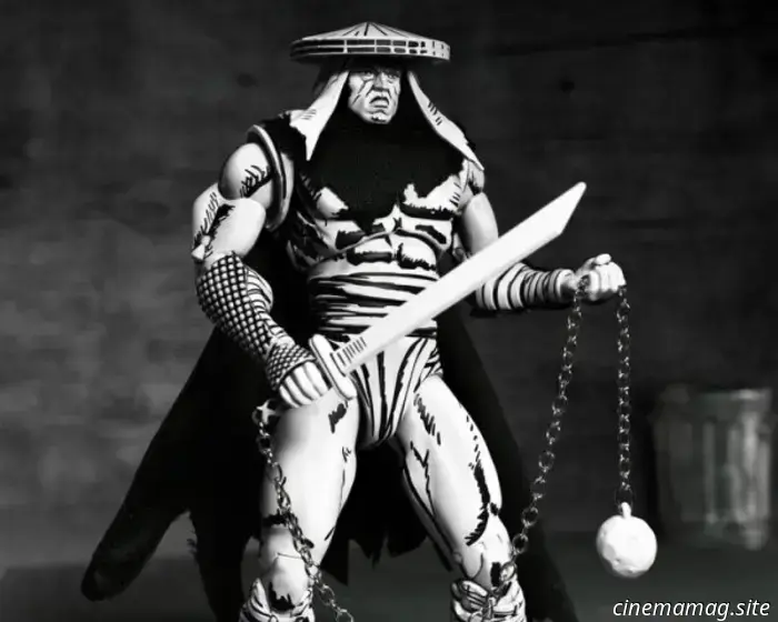 NECA presenta le nuove action figure Teenage Mutant Ninja Turtles Mirage Studios Black & White variant