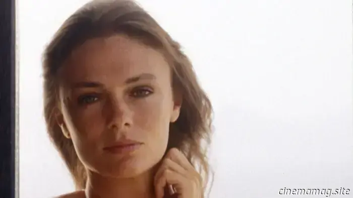 13 Stars from the 1970s Who Are Still Thriving Today