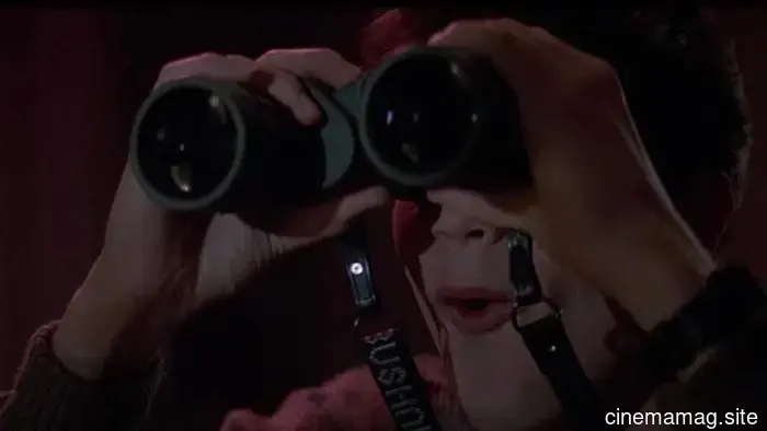 The 12 Most Voyeuristic Films We've Ever Encountered
