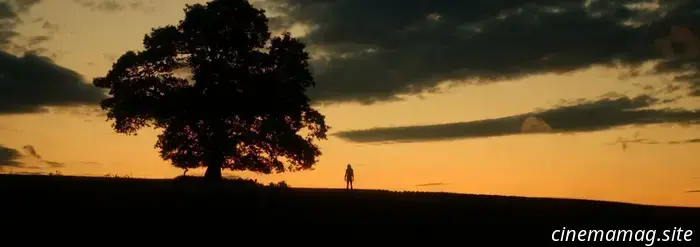 Las 10 mejores películas de 2025 de Mitchell Beaupre